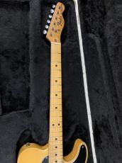 Fender USA Telecaster Blond 1976年製_4
