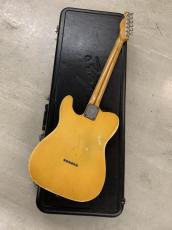 Fender USA Telecaster Blond 1976年製_15