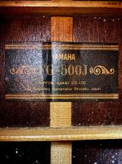 YAMAHA FG-500J_8