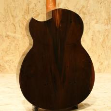 Hiramitsu Guitas Type Daphne_2