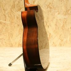 Hiramitsu Guitas Type Daphne_5