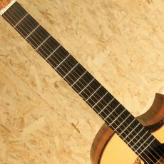 Hiramitsu Guitas Type Daphne_6