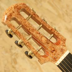 Hiramitsu Guitas Type Daphne_8