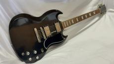 Edwards E-SG-100-LT2