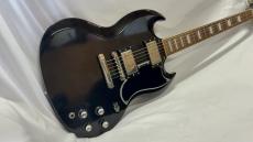 Edwards E-SG-100-LT2_2