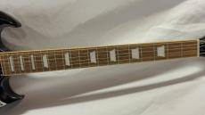 Edwards E-SG-100-LT2_3