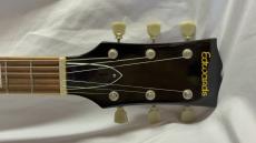 Edwards E-SG-100-LT2_4