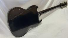 Edwards E-SG-100-LT2_5