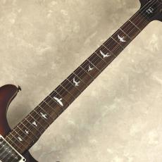 Paul Reed Smith [PRS] SE DGT Laurel Burl McCarty Tobacco Burst 限定モデル エレキギターSE ディビッド グリッソム ローレルバ_5