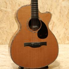 Water Road Guitars Nakagawa Isato Model -30th Anniversary-