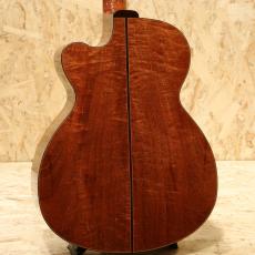 Water Road Guitars Nakagawa Isato Model -30th Anniversary-_2
