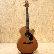 Water Road Guitars Nakagawa Isato Model -30th Anniversary-_3