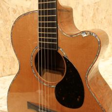 Water Road Guitars Nakagawa Isato Model -30th Anniversary-_6