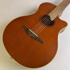 YAMAHA APX-6NA