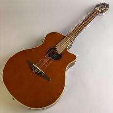 YAMAHA APX-6NA_2