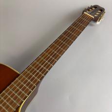 YAMAHA APX-6NA_3