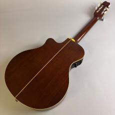 YAMAHA APX-6NA_6