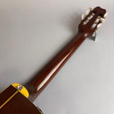 YAMAHA APX-6NA_7