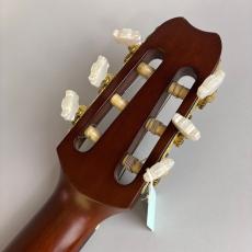 YAMAHA APX-6NA_8