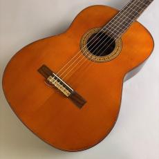 Takamine 田園　第九拾号