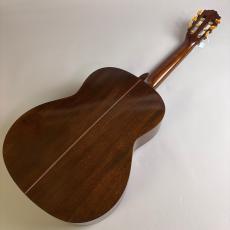 Takamine 田園　第九拾号_6