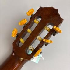 Takamine 田園　第九拾号_8
