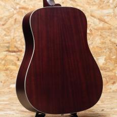 Guild D-40 ATB 2019_2