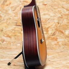 Guild D-40 ATB 2019_4