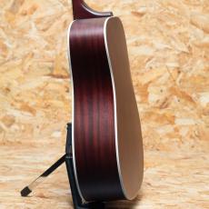 Guild D-40 ATB 2019_5