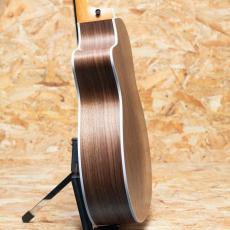 Taylor 214ce Walnut_5