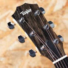Taylor 214ce Walnut_8
