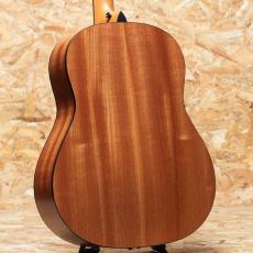 Taylor 117e LTD Blacktop_2