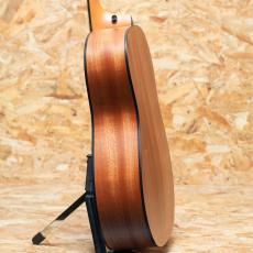 Taylor 117e LTD Blacktop_5