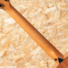 Taylor 117e LTD Blacktop_7
