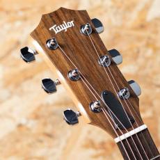 Taylor 117e LTD Blacktop_8