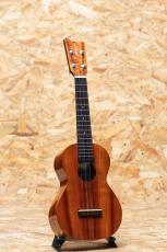 Kamaka HF-2 Concert 2003_3