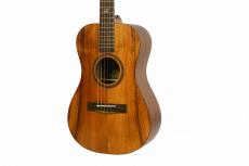 Journey Instruments JF880N ナローネック仕様_2