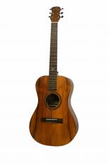 Journey Instruments JF880N ナローネック仕様_4