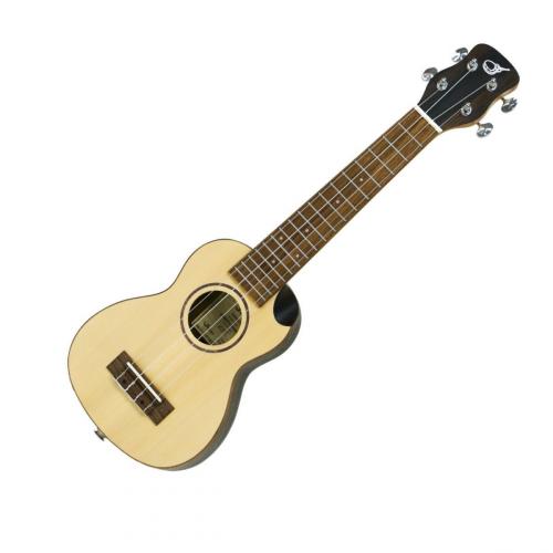 Journey Instruments US490CTE