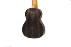 Journey Instruments US490CTE_3