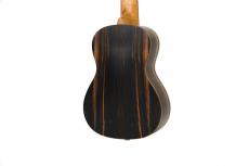 Journey Instruments UC490CE_3