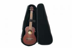 Journey Instruments UT310E_6
