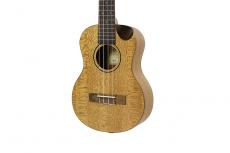 Journey Instruments UT770CE_2