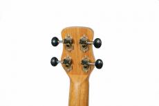 Journey Instruments UT770CE_5