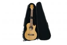Journey Instruments UT770CE_6
