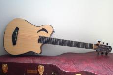 Yokoyama Guitars Leaf-Quiet / Steel_2