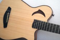 Yokoyama Guitars Leaf-Quiet / Steel_4