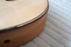 Yokoyama Guitars Leaf-Quiet / Steel_14