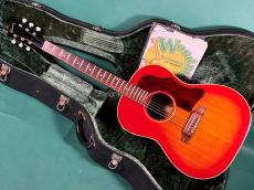 Gibson B-25 CS