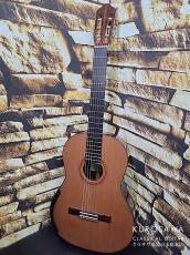 レジス・サラ Regis Sala 2026年製 AUSTRALE (ラティス) 杉・ココボロ 20フレット【クロサワ楽器日本総本店2F 在庫品】_2